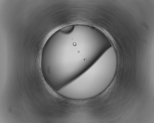 X0000115491246200911060955