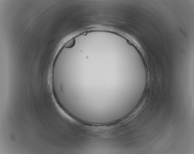 X0000115491247200911060955