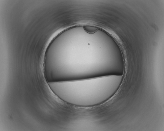 X0000115491248200911060955