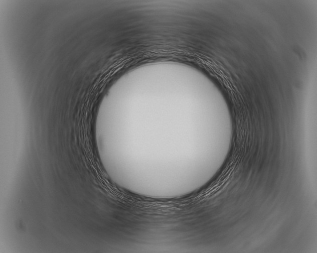 X0000115491249200911060954