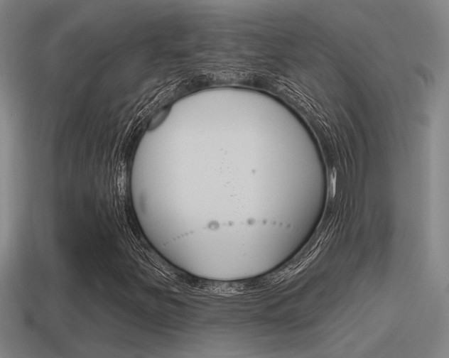 X0000115491251200911060954