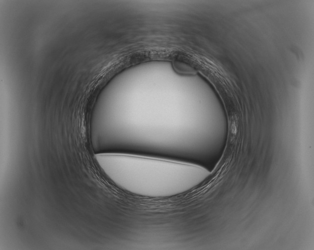 X0000115491252200911060954