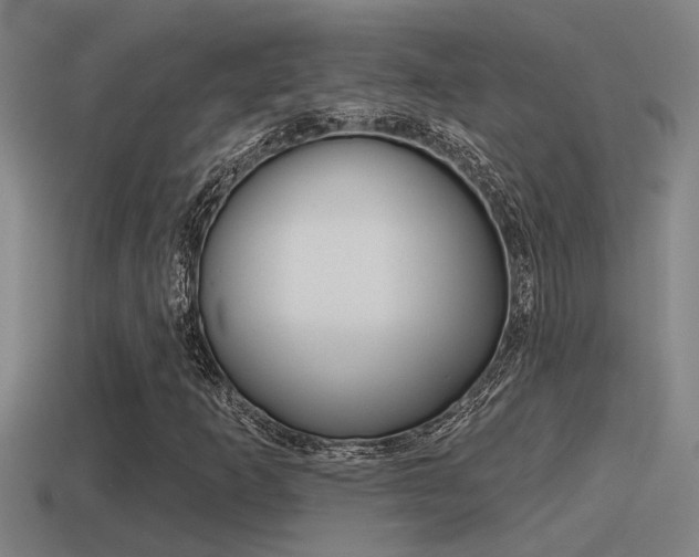 X0000115491253200911060954