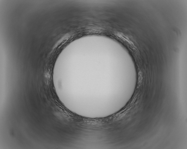 X0000115491254200911060954