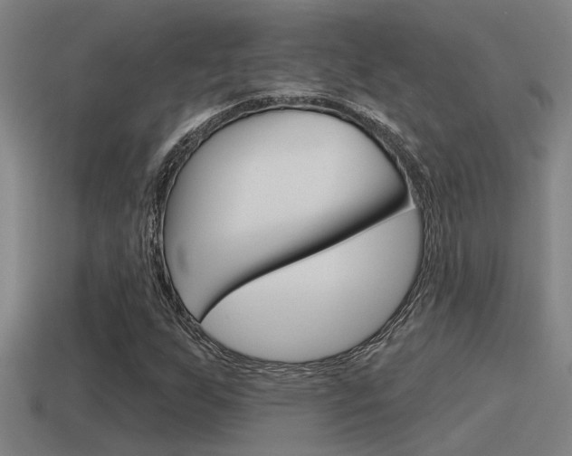 X0000115491255200911060954