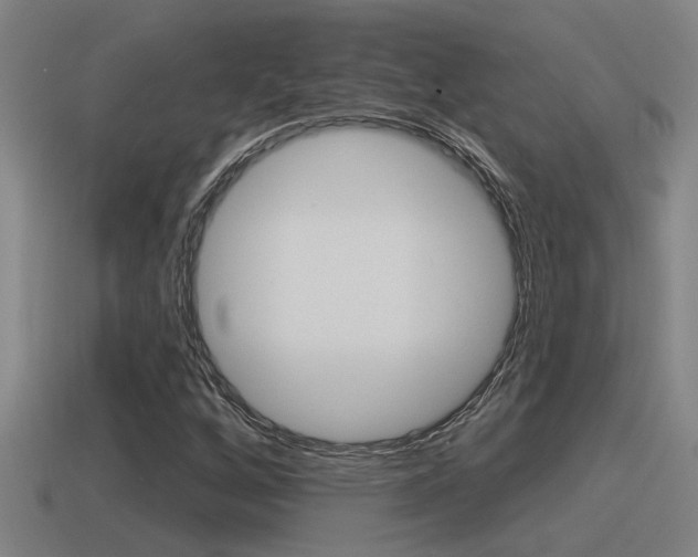 X0000115491256200911060954