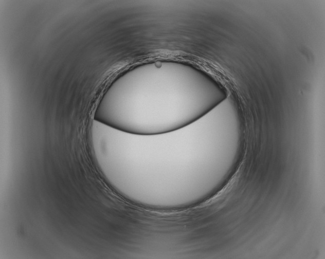 X0000115491257200911060954
