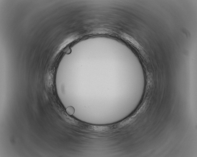 X0000115491258200911060954
