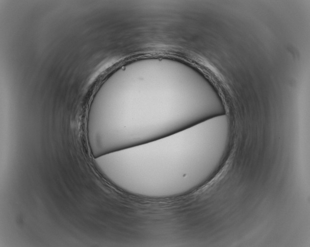 X0000115491259200911060954
