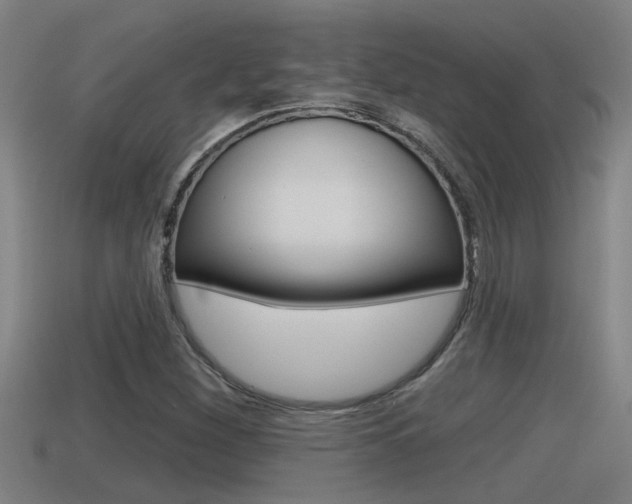 X0000115491260200911060954