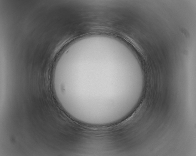 X0000115491261200911060954