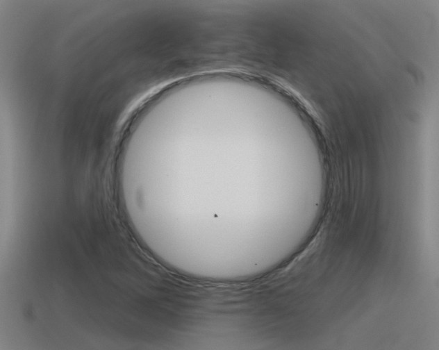 X0000115491262200911060954