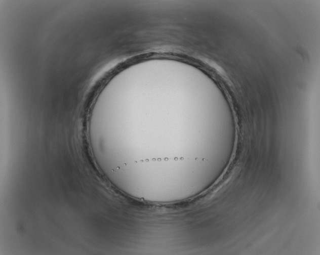 X0000115491263200911060954