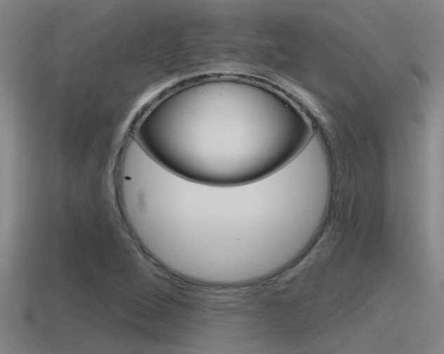 X0000115491264200911060954