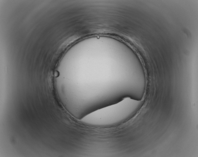 X0000115491265200911060954