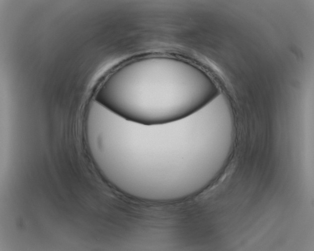 X0000115491267200911060954