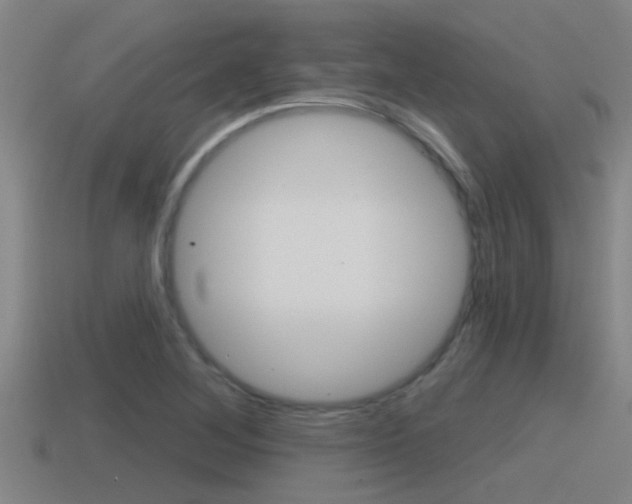 X0000115491268200911060954