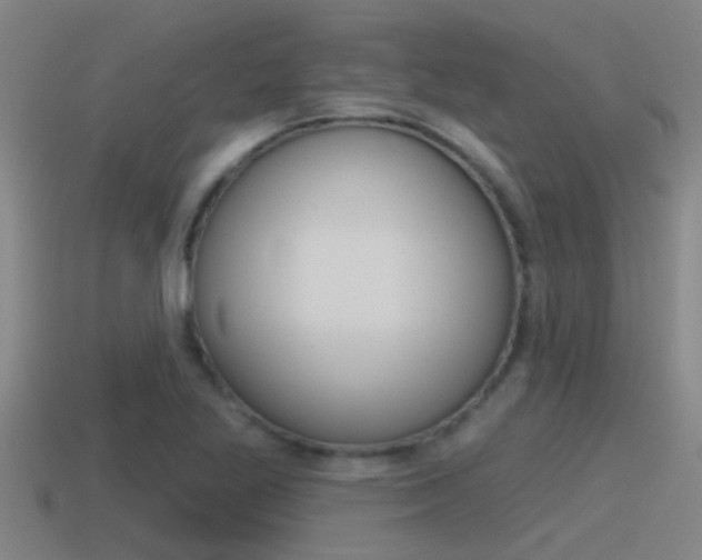 X0000115491269200911060954