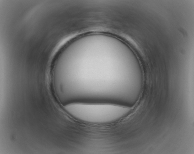 X0000115491270200911060954