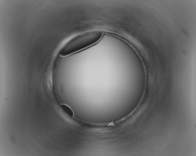 X0000115491272200911060954
