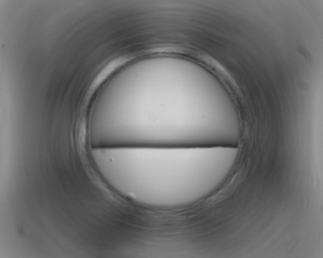 X0000115491274200911060954