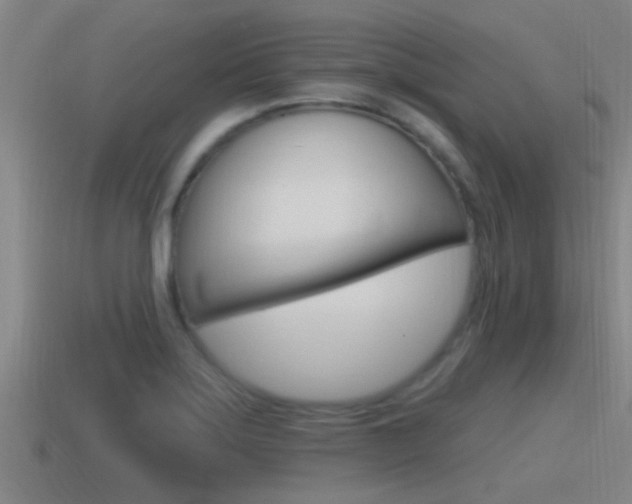 X0000115491275200911060954