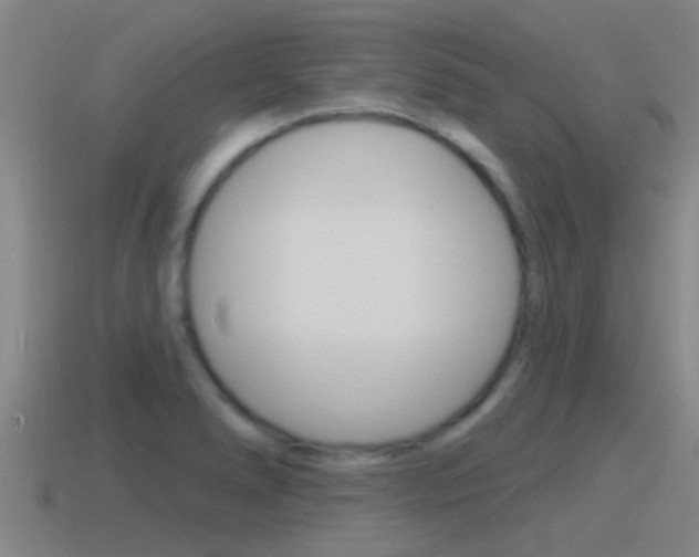 X0000115491278200911060954