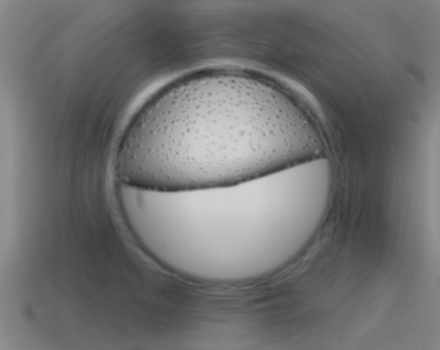 X0000115491279200911060954