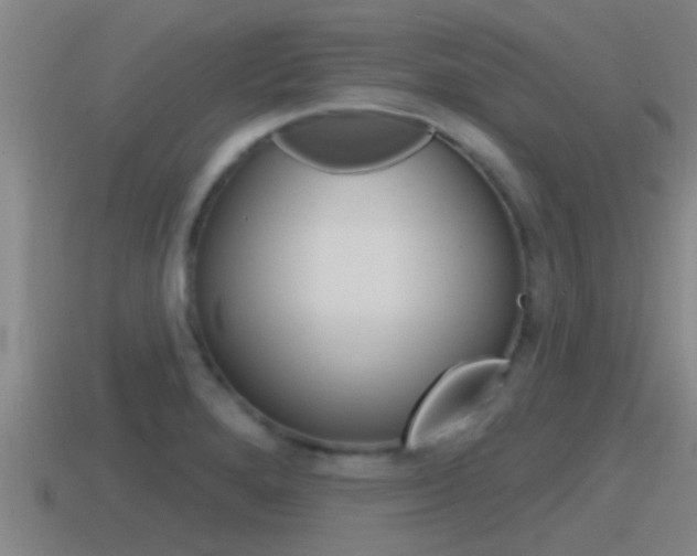 X0000115491280200911060954