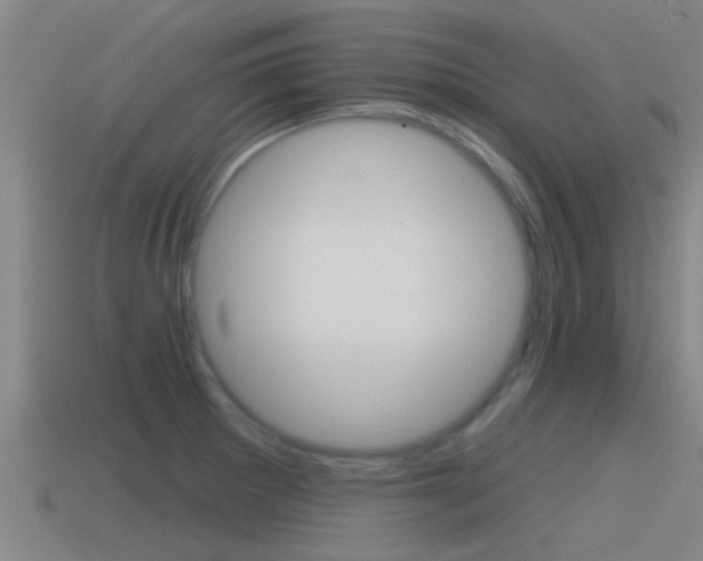 X0000115491281200911060954