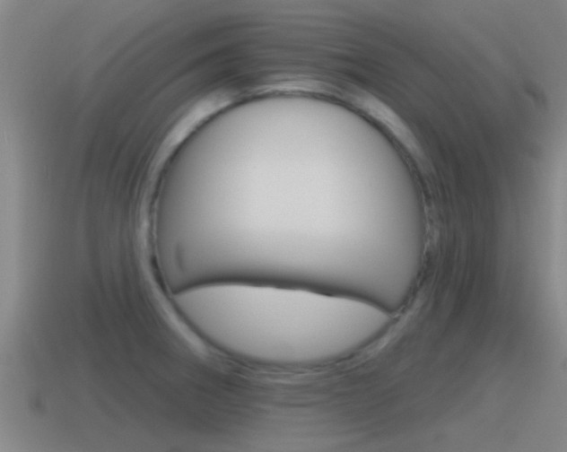 X0000115491282200911060954