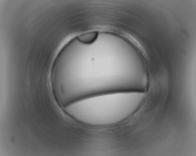 X0000115491283200911060954
