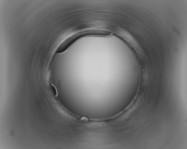 X0000115491284200911060954