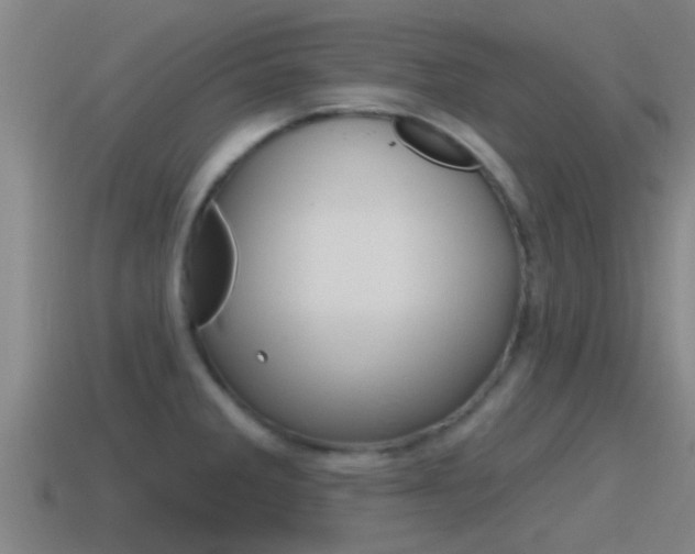 X0000115491285200911060954