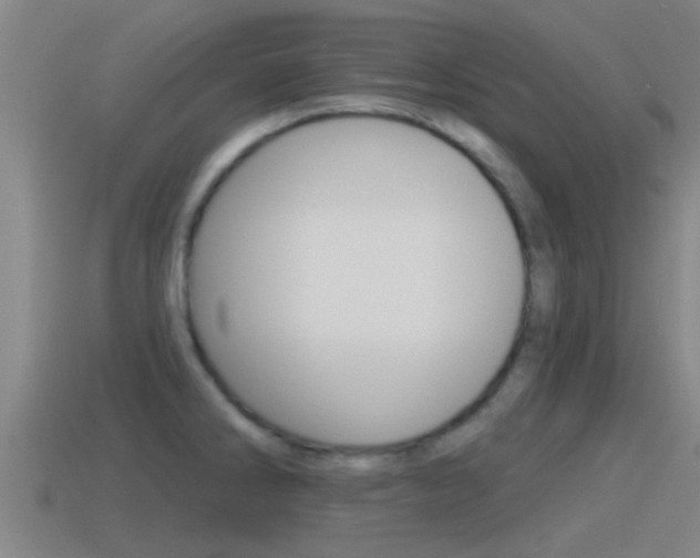 X0000115491286200911060954