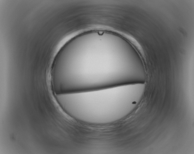 X0000115491287200911060954