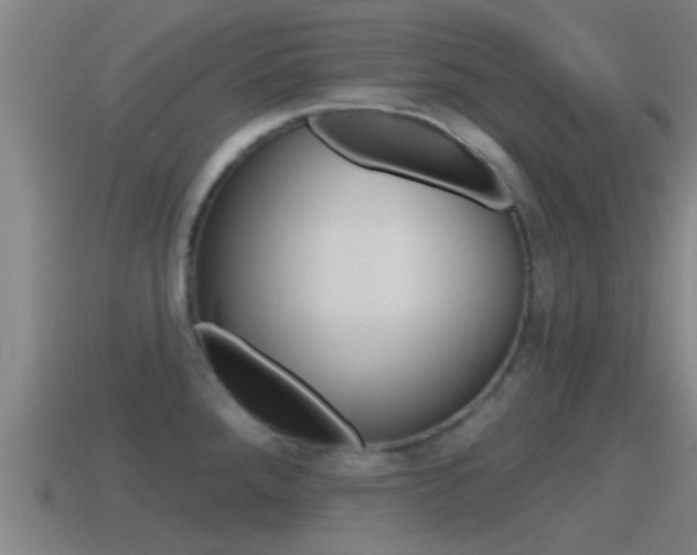 X0000115491288200911060954