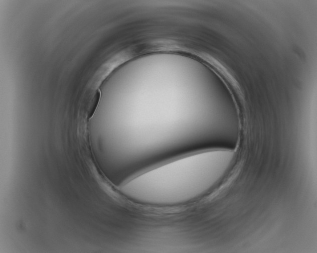 X0000115491289200911060954