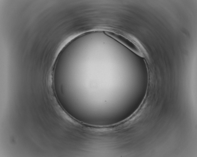 X0000115491292200911060954