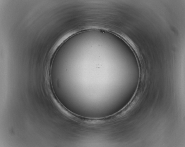 X0000115491293200911060954