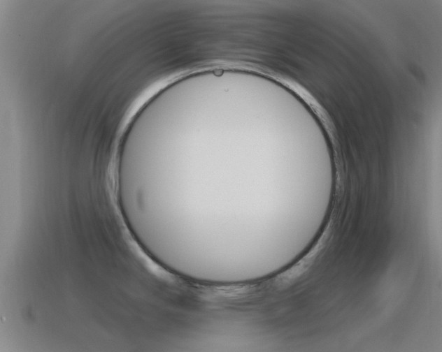 X0000115491294200911060954