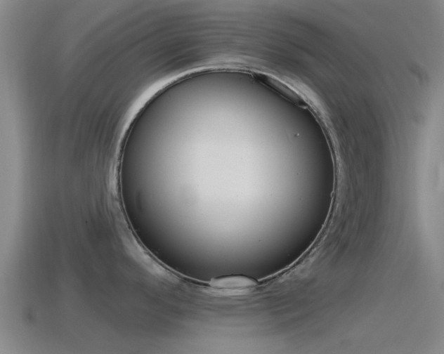 X0000115491296200911060954
