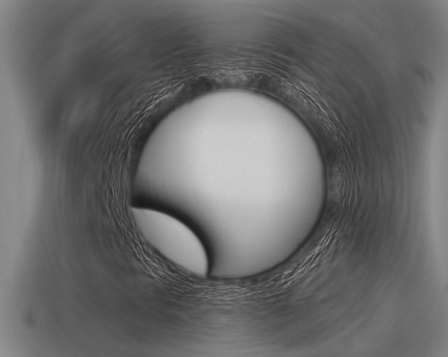 X0000115491297200911060953