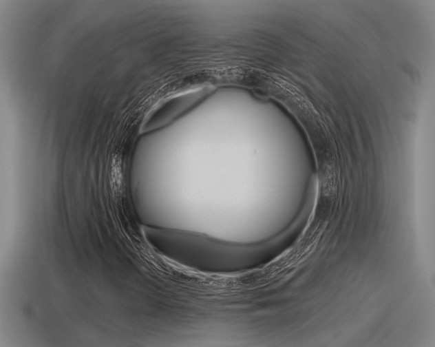 X0000115491298200911060953