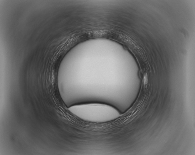 X0000115491299200911060953