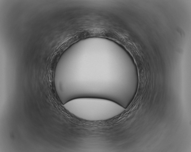 X0000115491301200911060953