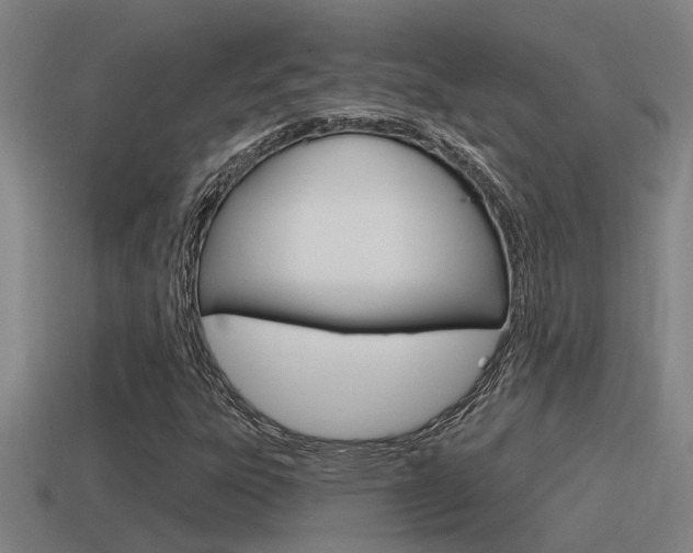 X0000115491303200911060953