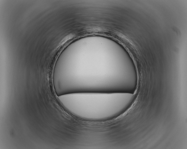 X0000115491305200911060953