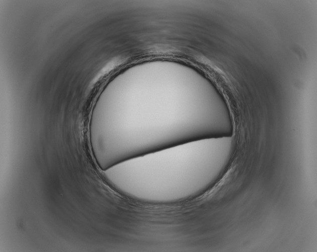 X0000115491306200911060953