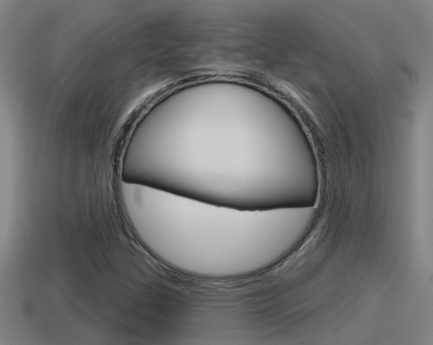 X0000115491307200911060953
